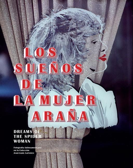 Buch Dreams of the Spider Woman 