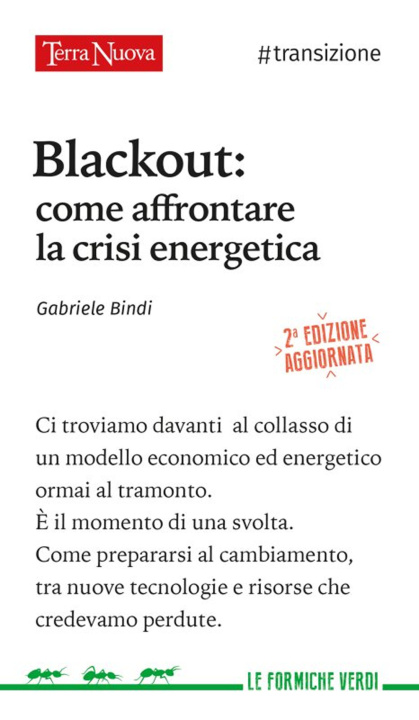 Carte Blackout. Come affrontare la crisi energetica Gabriele Bindi
