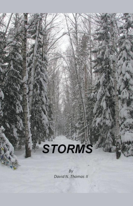 Book Storms David Thomas