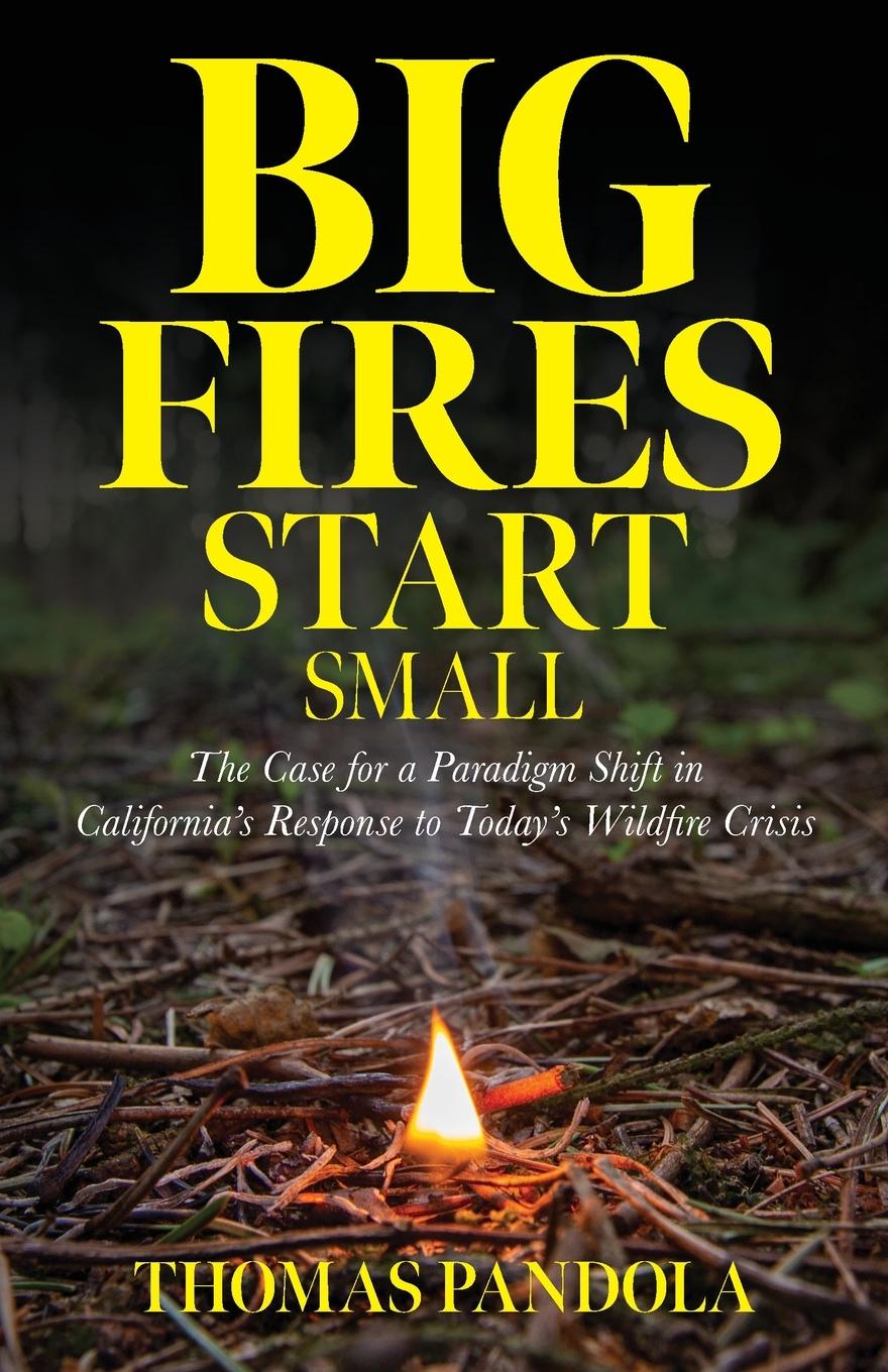 Knjiga Big Fires Start Small Thomas Pandola