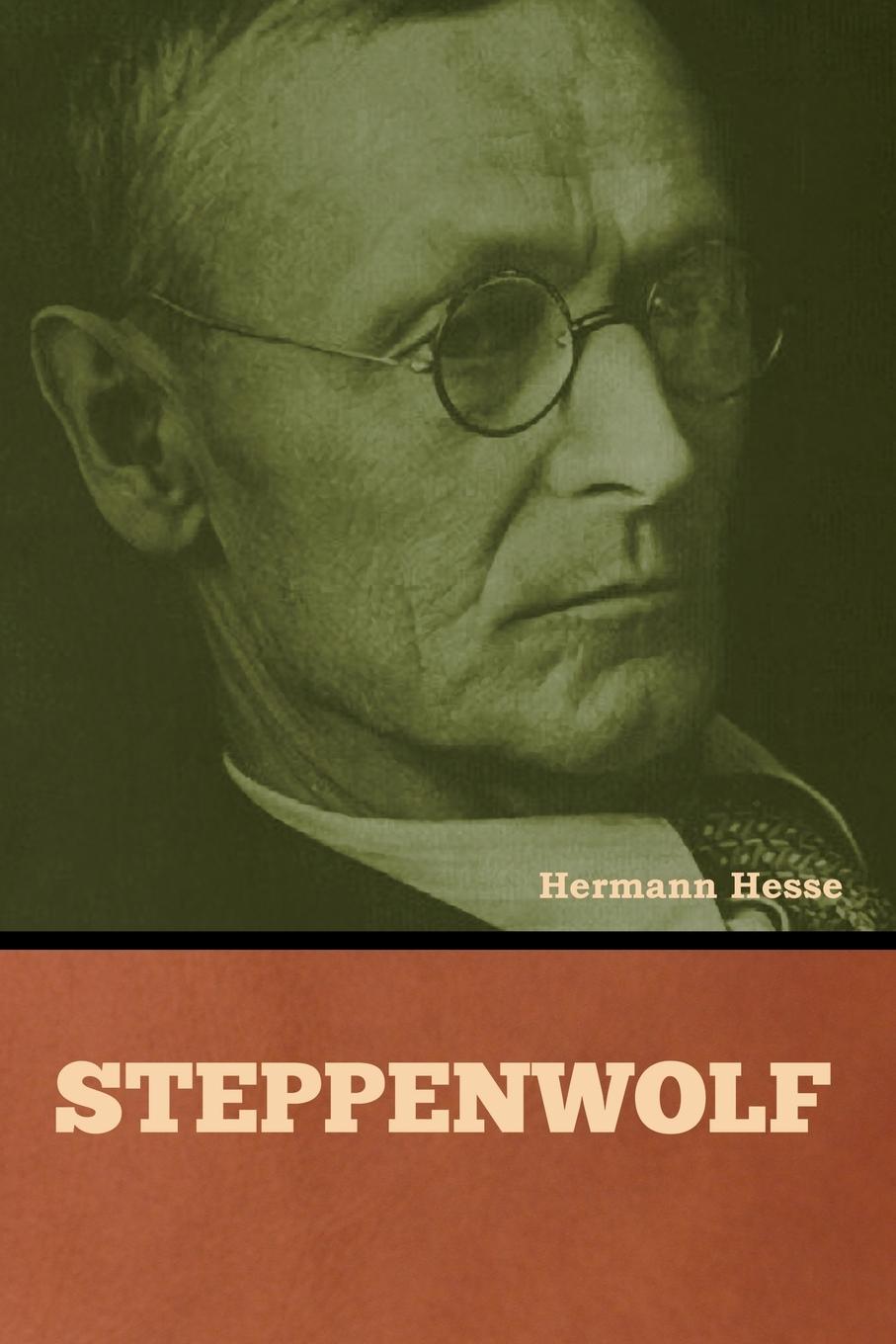 Livro Steppenwolf Hermann Hesse