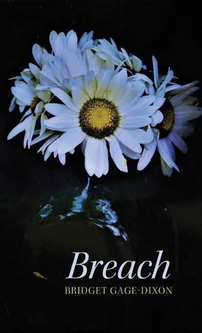 Knjiga Breach Bridget Gage-Dixon