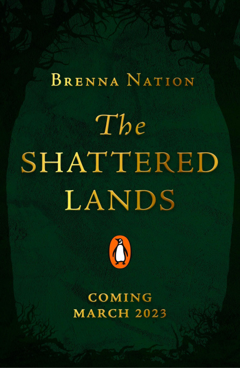 Kniha Shattered Lands Brenna Nation