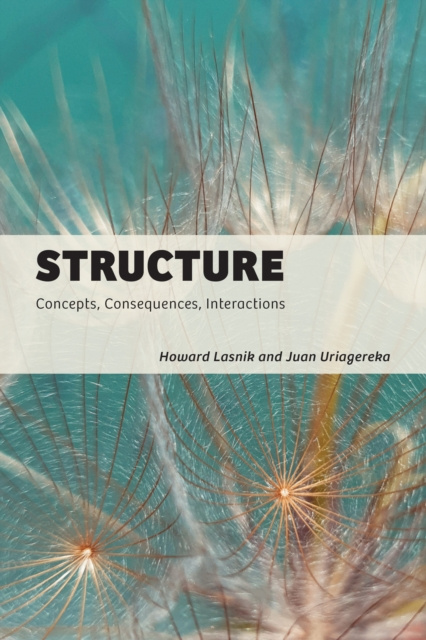 E-book Structure Howard Lasnik