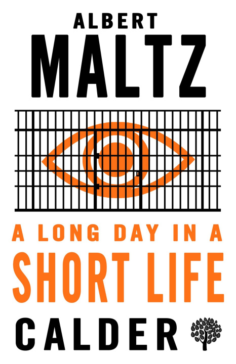Kniha Long Day in a Short Life Albert Maltz