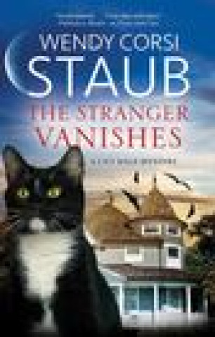Knjiga Stranger Vanishes Wendy Corsi Staub