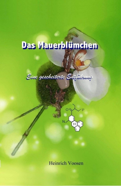 E-kniha Das Mauerblumchen Heinrich Voosen