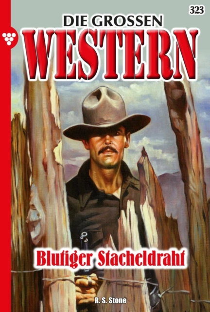 E-knjiga Die groen Western 323 R. S. Stone