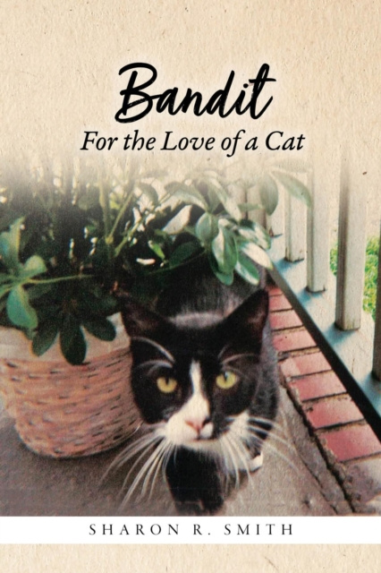 E-book Bandit Sharon R Smith