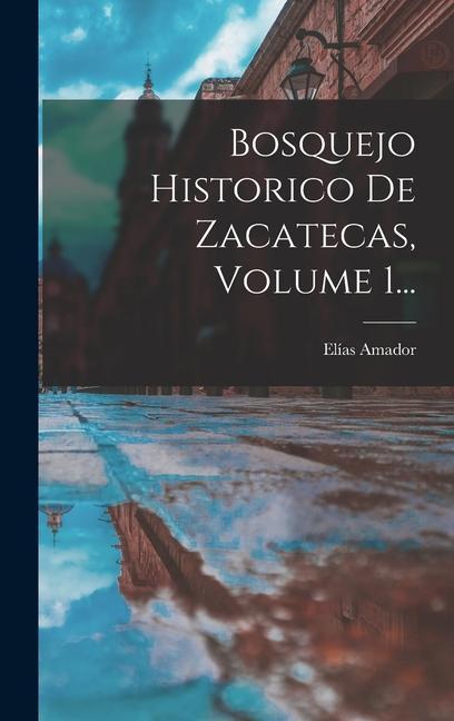 Buch Bosquejo Historico De Zacatecas, Volume 1... Elías Amador