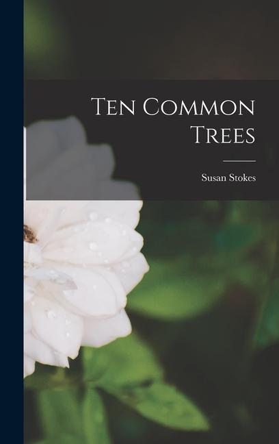 Knjiga Ten Common Trees Stokes Susan