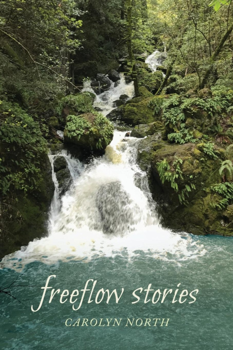 Buch Freeflow Stories Carolyn North