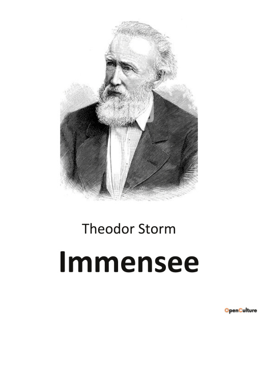 Kniha Immensee Storm