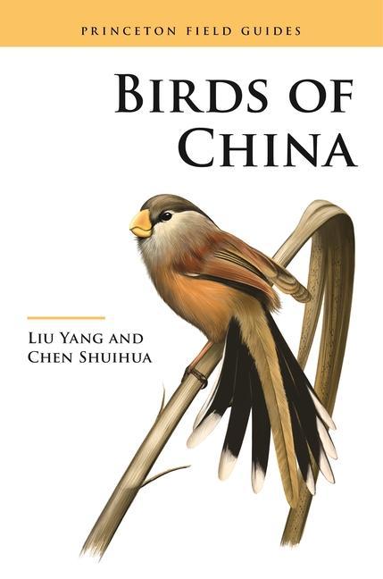 Kniha Birds of China Yang Liu