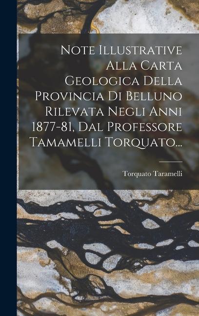 Kniha Note Illustrative Alla Carta Geologica Della Provincia Di Belluno Rilevata Negli Anni 1877-81, Dal Professore Tamamelli Torquato... 