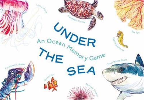 Hra/Hračka Under the Sea /anglais UNWIN MIKE
