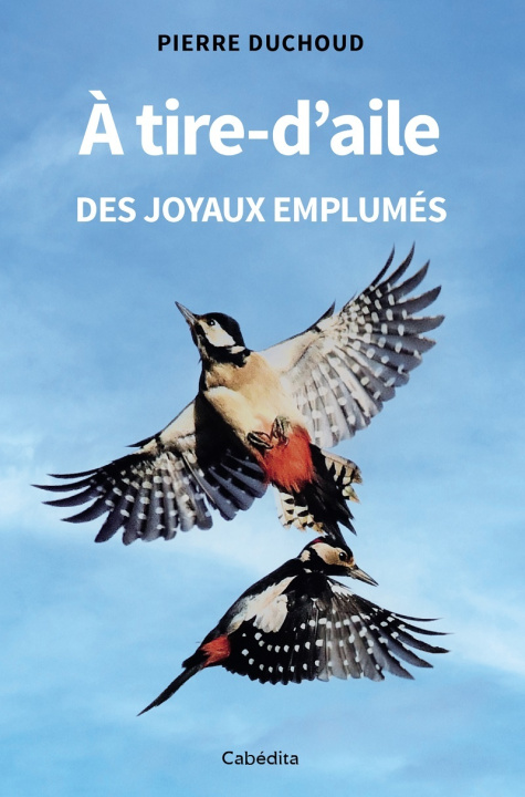 Carte A tire-d'aile Duchoud