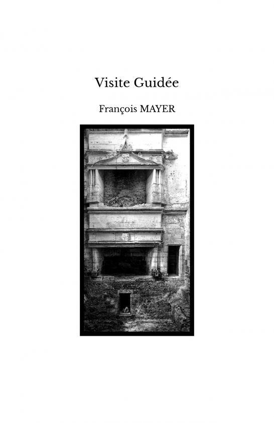 Buch Visite Guidée MAYER