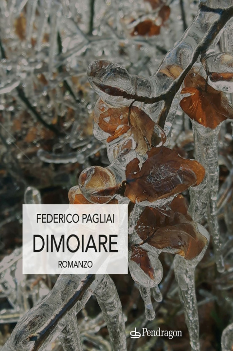 Carte Dimoiare Federico Pagliai