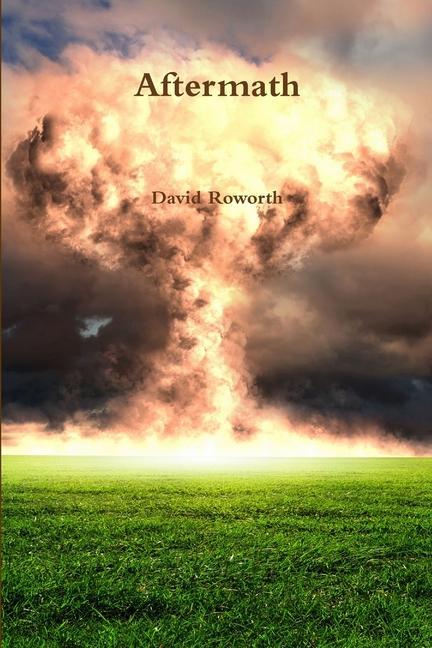 Knjiga Aftermath David Roworth