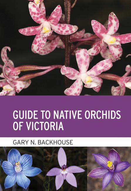 Kniha Guide to Native Orchids of Victoria 