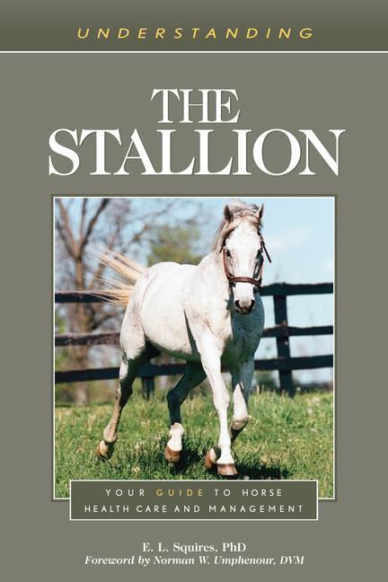 Carte Understanding the Stallion Norman W. Umphenour