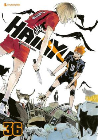 Könyv Haikyu!! - Band 36 Haruichi Furudate