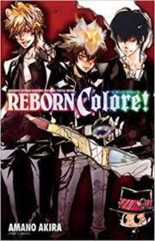 Libro REBORN COLORE! (ARTBOOK VO JAPONAIS) AKIRA