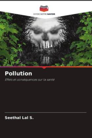 Knjiga Pollution Seethal Lal S.