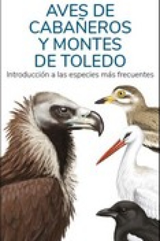 Könyv AVES DE CABAÑEROS Y MONTES DE TOLEDO - GUIAS DESPLEGABLES TUNDRA VICTOR J. HERNANDEZ