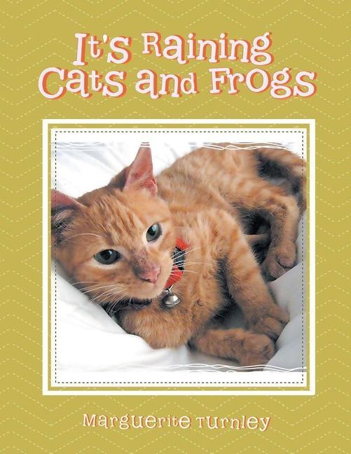Carte It's Raining Cats and Frogs 