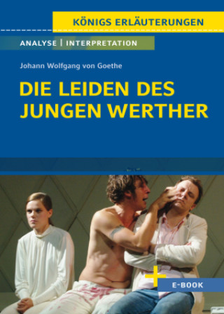 Könyv Die Leiden des jungen Werther von Johann Wolfgang von Goethe. Johann Wolfgang von Goethe