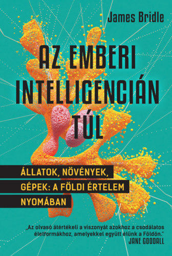 Book Az emberi intelligencián túl James Bridle