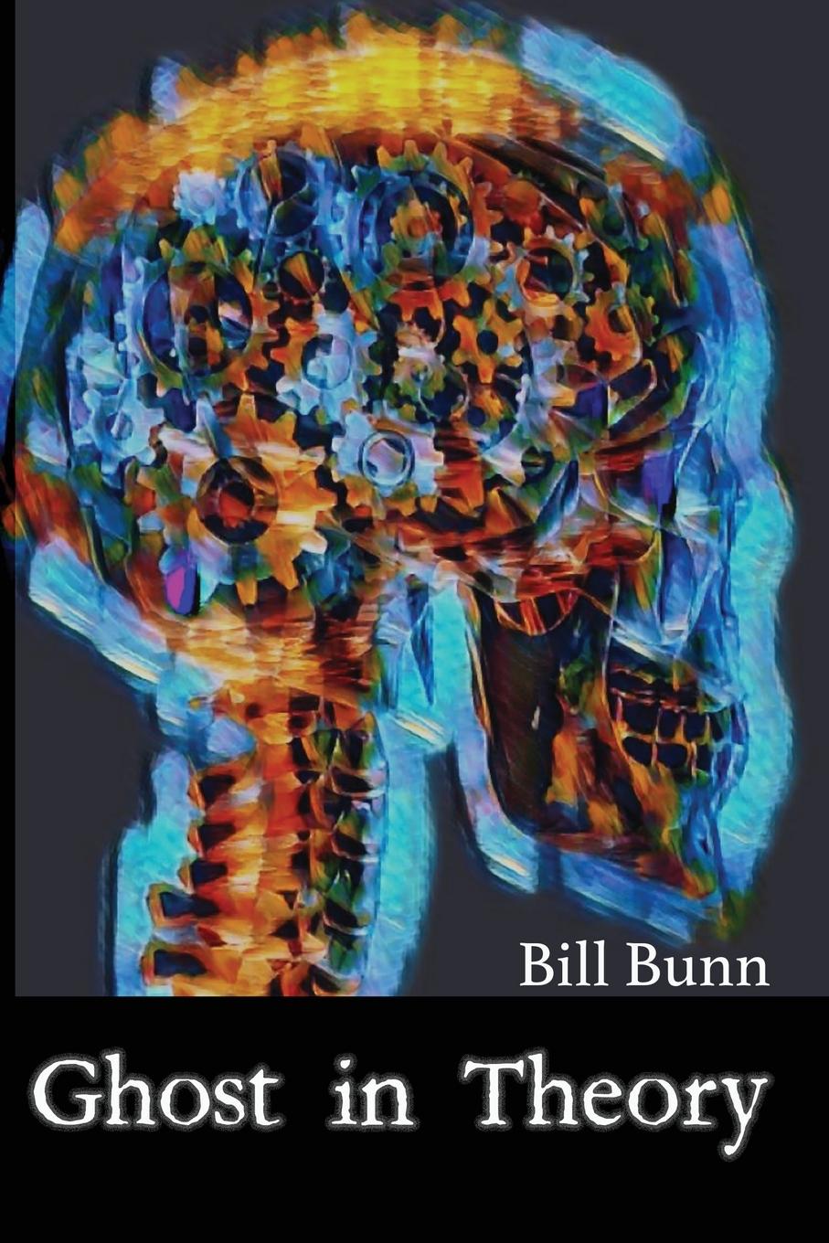 Buch Ghost In Theory Bill Bunn
