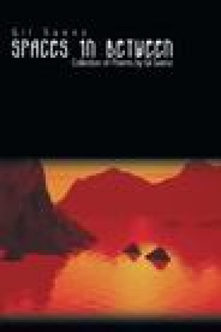 Boek Spaces In Between Gil Saenz