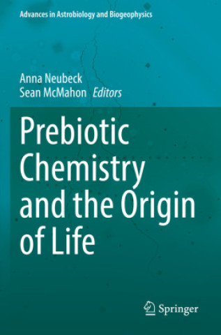 Kniha Prebiotic Chemistry and the Origin of Life Anna Neubeck