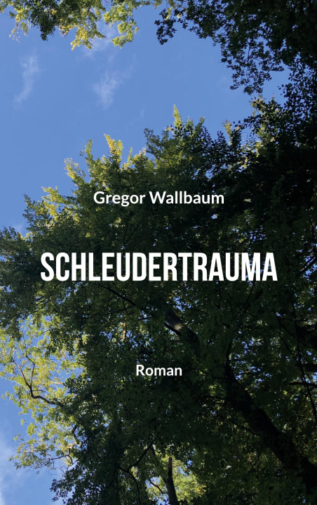 Knjiga Schleudertrauma Gregor Wallbaum