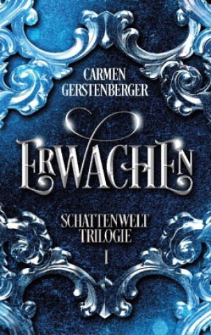 Book Erwachen Carmen Gerstenberger