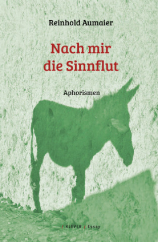 Kniha Nach mir die Sinnflut Reinhold Aumaier