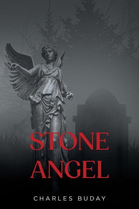 Knjiga Stone Angel Charles Buday