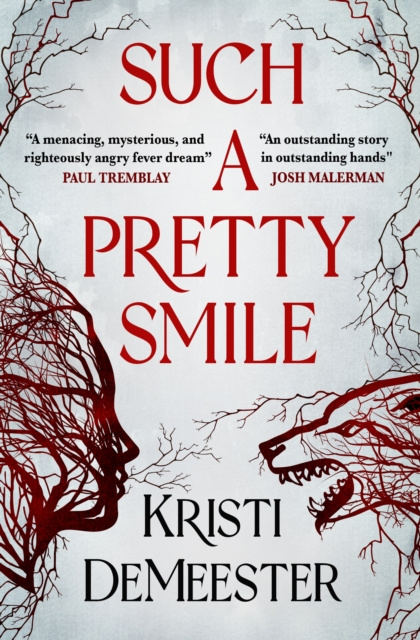 E-book Such a Pretty Smile Kristi DeMeester
