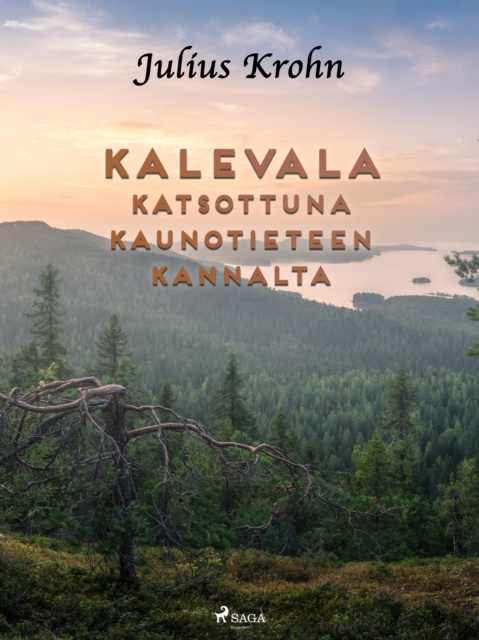 E-kniha Kalevala katsottuna kaunotieteen kannalta Julius Krohn