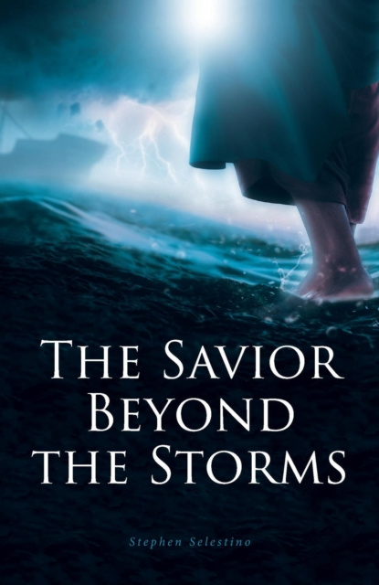 E-book Savior Beyond the Storms Stephen Selestino