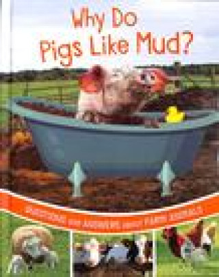 Boek Why Do Pigs Like Mud? Katherine Rawson