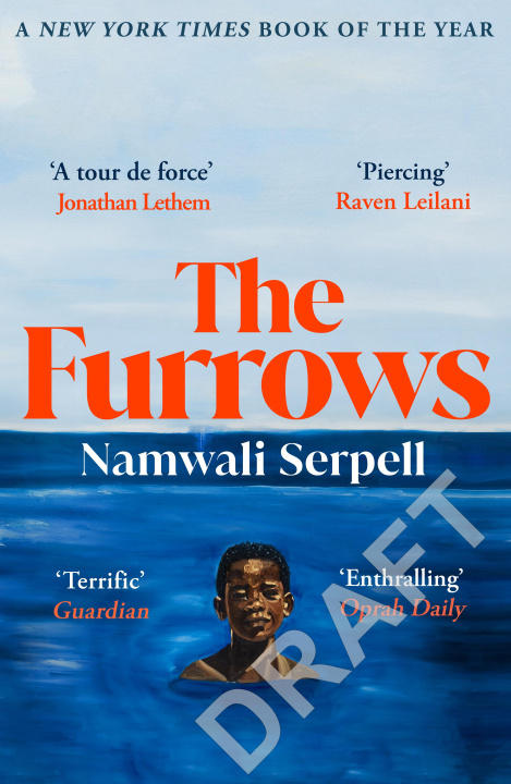 Kniha Furrows Namwali Serpell