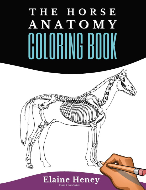 Книга Horse Anatomy Coloring Book For Adults - Self Assessment Equine Coloring Workbook 