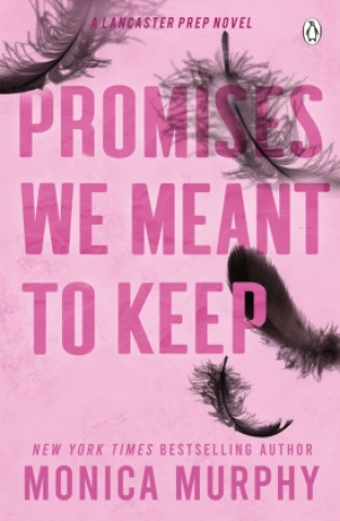 Book Promises We Meant To Keep Monica Murphy