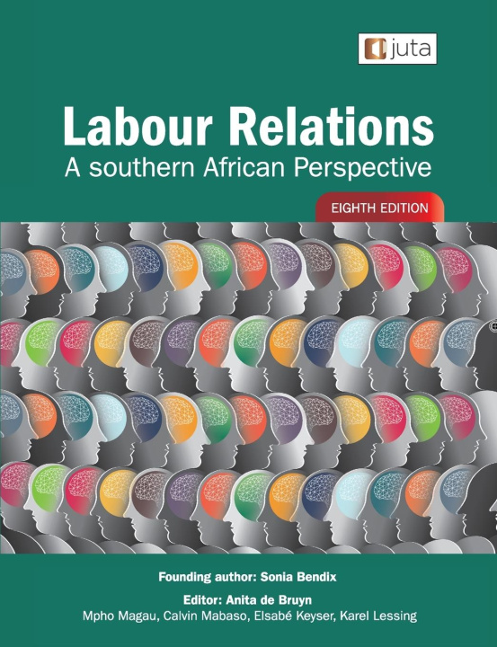 Knjiga Labour Relations Anita de Bruyn