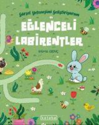 Knjiga Eglenceli Labirentler 