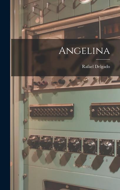 Boek Angelina Rafael Delgado